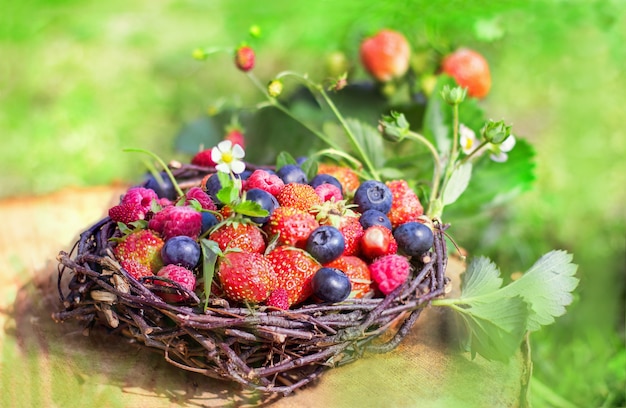 Fresh strawberries raspberries and blueberries on a sunny green background healthy food superfoods