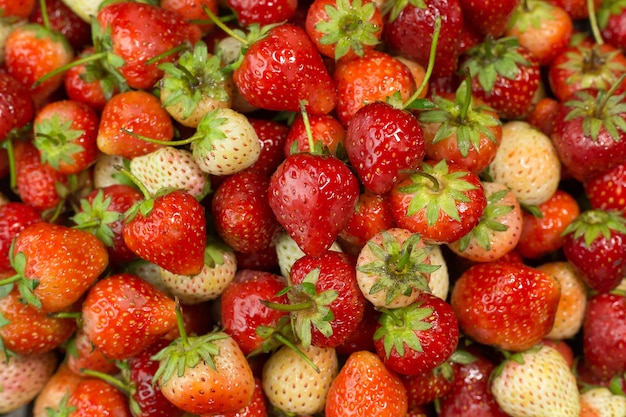 fresh strawberries