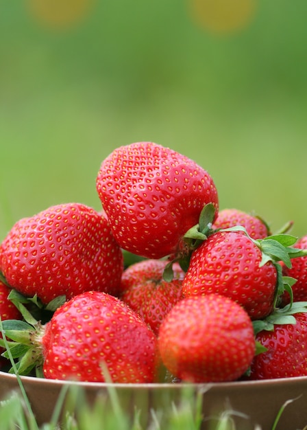 Fresh strawberries