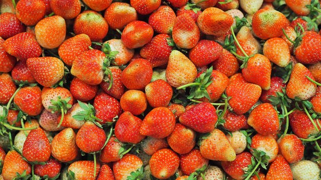 Fresh strawberry in the garden, strawberry background