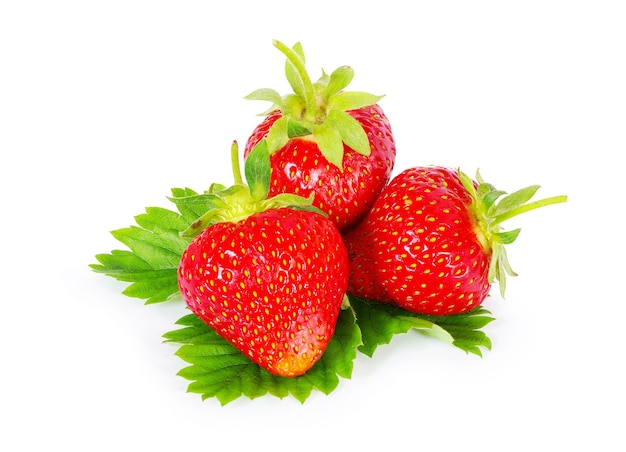 흰색 표면에 고립 된 신선한 딸기