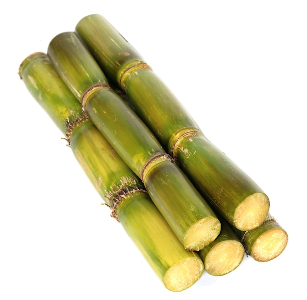 Fresh sugar cane over white background