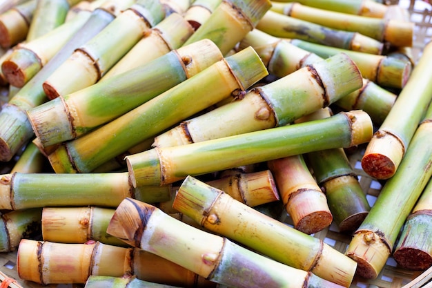 Photo fresh sugarcane cut for planting