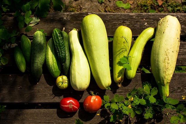 Fresh summer vegetable crop on wood