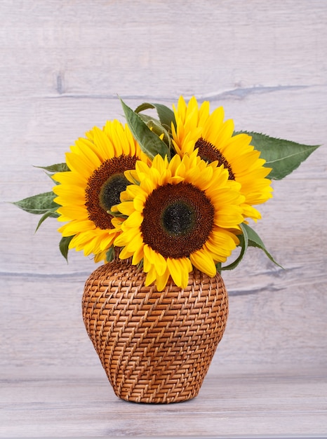 Fresh sunflower in bag on white background