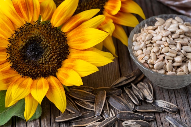 Fresh sunflower and sunflower seeds