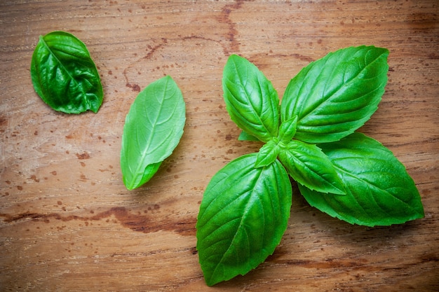 Fresh sweet basil leaves on shabby teak wood background.