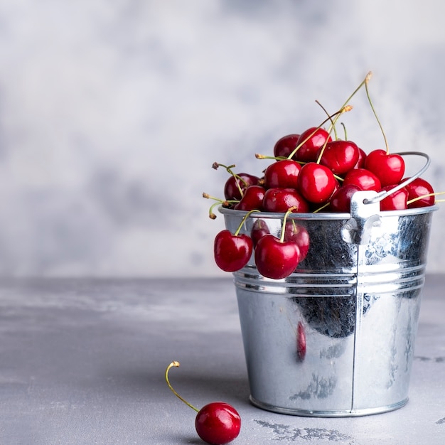 Fresh sweet cherry in decorative metal bucket.