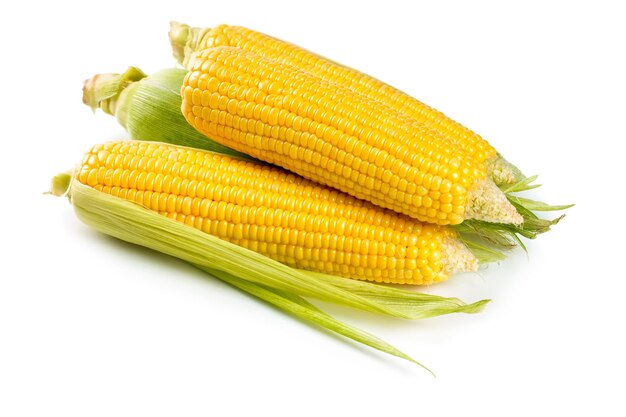 Fresh sweet corn isolated on white background