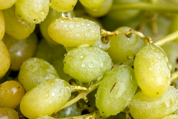 Fresh sweet green grapes close up