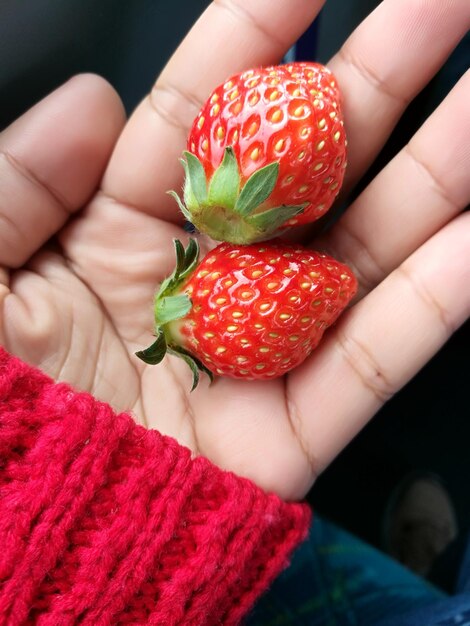 Foto fragole dolci giapponesi fresche