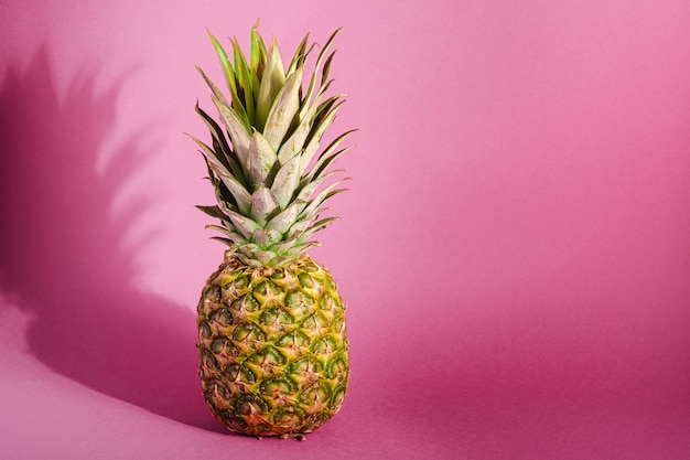 Fresh sweet pineapple on pastel pink purple surface with hard shadow, angle view copy space