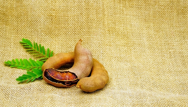 fresh tamarind fruits and leaves Sack background Tamarind tropical fruit with leafempty space