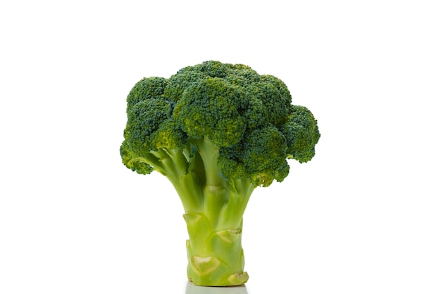 Fresh tasty broccoli isolated on white