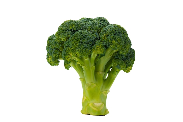 Fresh tasty broccoli isolated