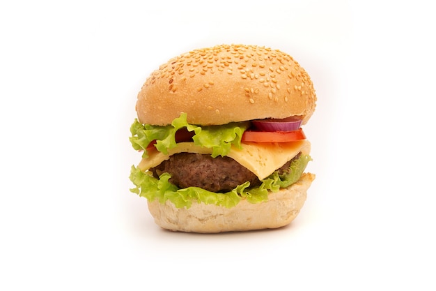 Fresh tasty burger isolated