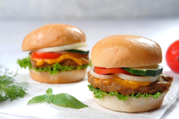 fresh tasty burger  on white background