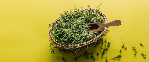 Fresh thyme in a basket on a yellow background