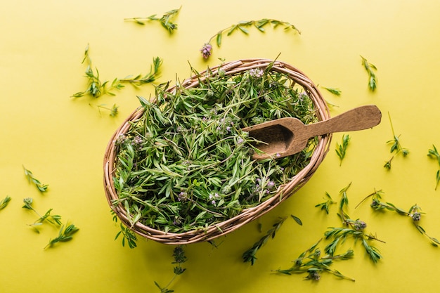 Fresh thyme in a basket on a yellow background