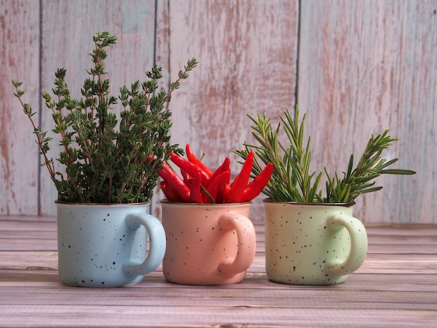 Fresh thyme rosemary and red chili bunches in colored ceramic mugs