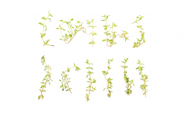 fresh thyme on white background