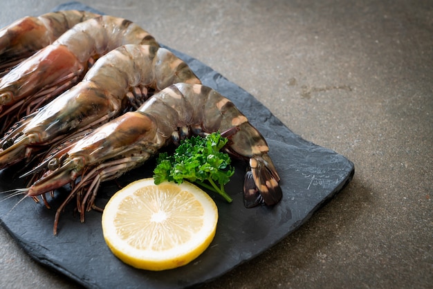 fresh tiger prawn or shrimp on black board