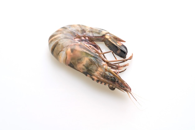 fresh tiger prawn or shrimp isolated on white background