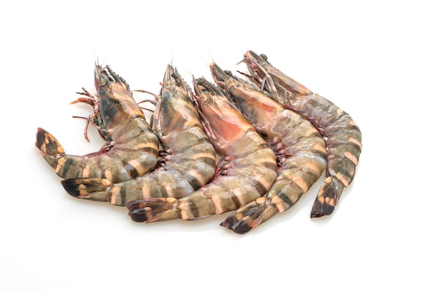 fresh tiger prawn or shrimp isolated on white