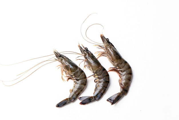 Fresh tiger shrimp on a white background