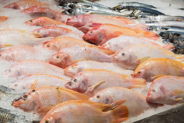 Fresh tilapia fish on ice in the market