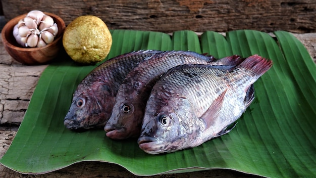 写真 オレオクロミス・ニロティカス (oreochromis niloticus) のテーブルにある新鮮なティラピア