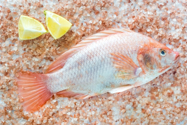 Fresh Tilapia with pink salt