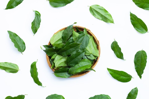 Fresh tiliacora triandra green leaves