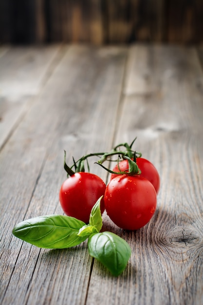 Fresh Tomato cherry branch of basil on old wooden surface. Selective focus.