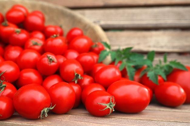 Fresh tomato crop in a wooden bowl on a background