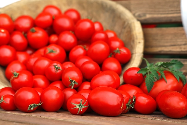 Fresh tomato crop in a wooden bowl on a background