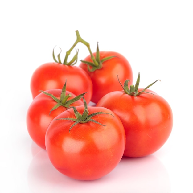 흰색 바탕에 신선한 토마토