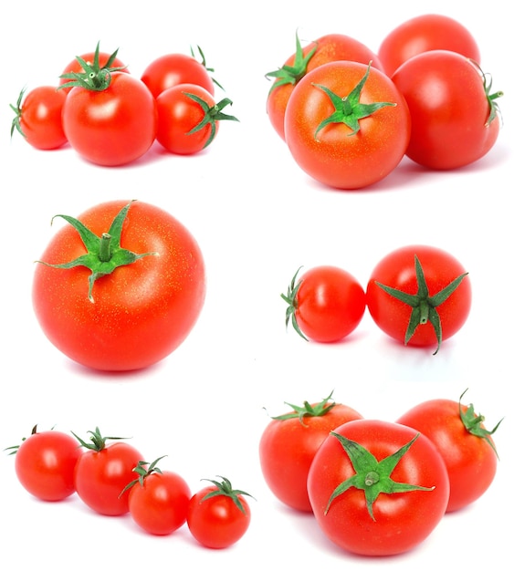 Fresh tomato