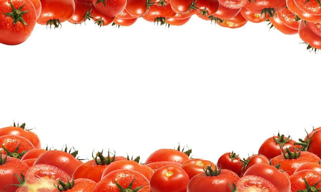 신선한 토마토