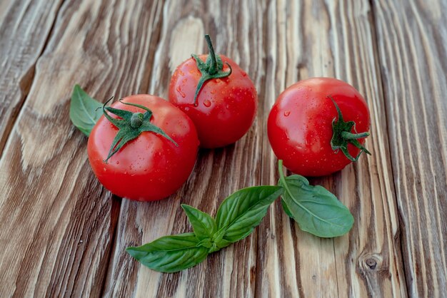 Fresh tomatoes and basil leaves on old rustic wooden table