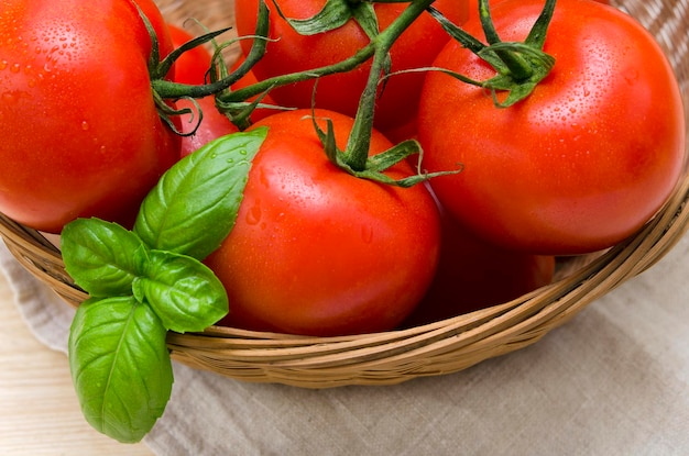 Fresh tomatoes on a branch in a basket closeup