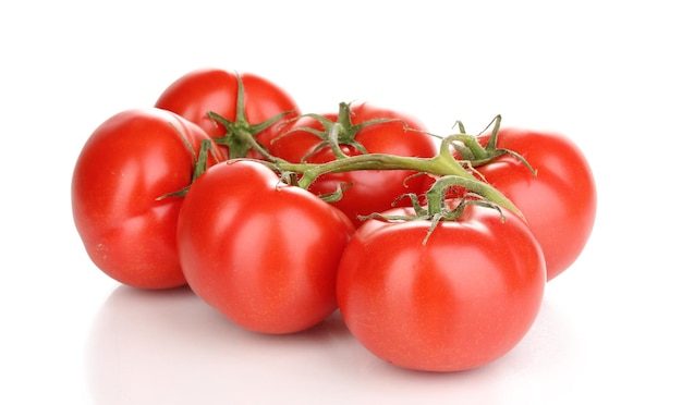 Fresh tomatoes on branch isolated on white