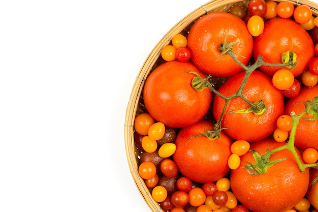 Fresh tomatoes from the field, placed in a basket on a white background.