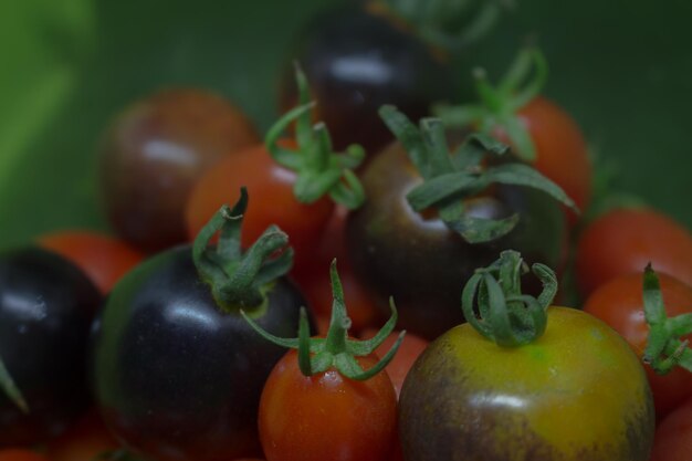 Photo fresh tomatoes preparing for food