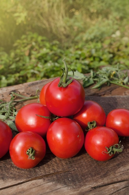 Fresh tomatoes on rustic wooden background Tomatoes on wooden table