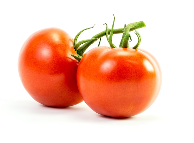 Fresh tomatoes in studio