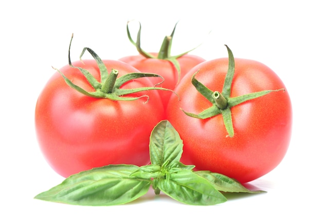 Fresh tomatoes with basil leaves