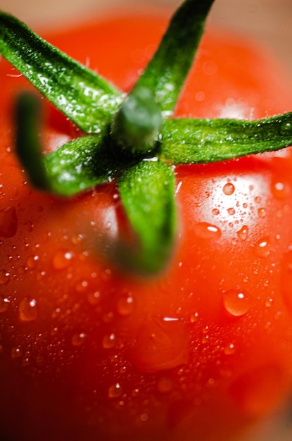 Fresh tomatoes with drop water macro shot