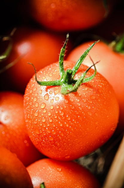 Fresh tomatoes with drop water Macro shot