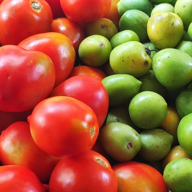 Fresh tomatoes